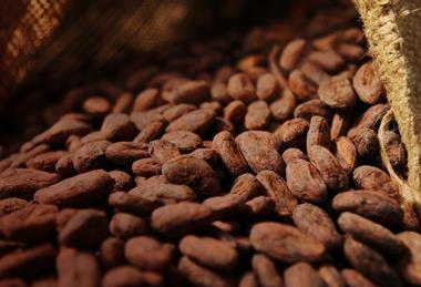 Cocoa2