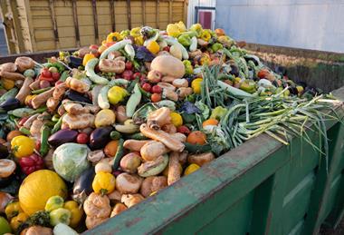 food waste industry veg