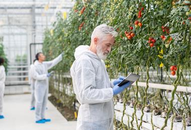 Crop science GettyImages-1303182502