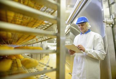 food safety inspection factory