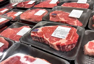 USDA Beef Steak