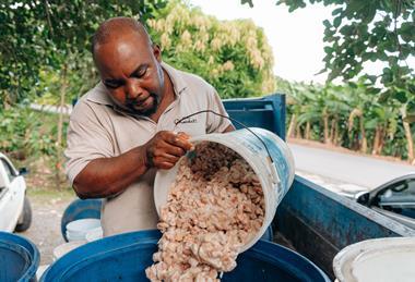 Rabot Estate - Island growers A7206159