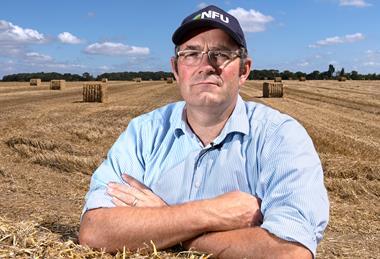 Tom_Bradshaw_straw_bale_03