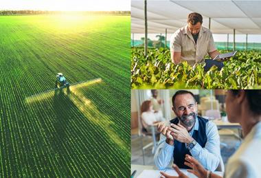 SX - Report - The Grocer - Lead image (1)