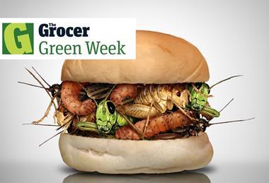bug burger Green Issue - 1