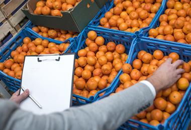 oranges in a warehouse