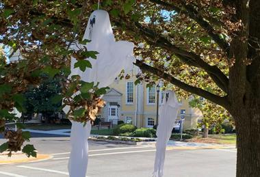 Trick or Tree Ghouls cropped