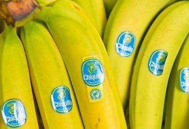asda rainforest alliance bananas