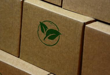 eco packaging