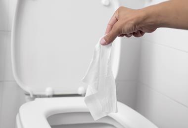 toilet wet wipes (2)