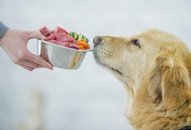 dog pet dogfood petfood meat healthy
