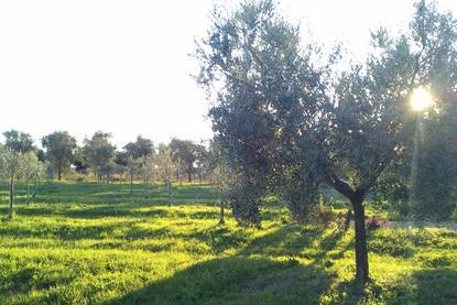 IMG_20231123_155003_3