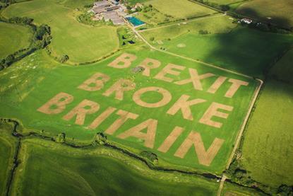 BREXIT BROKE BRITAIN_LBD-009