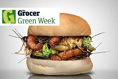 bug burger Green Issue - 1