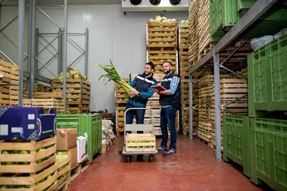 food wholesale