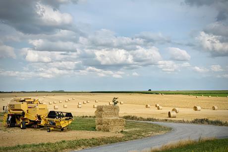 Kellogg's Soil Capital 2