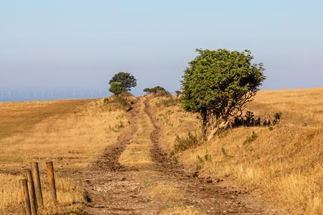 Drought Sussex heatwave farm climate field parched hot weather GettyImages-1000918954