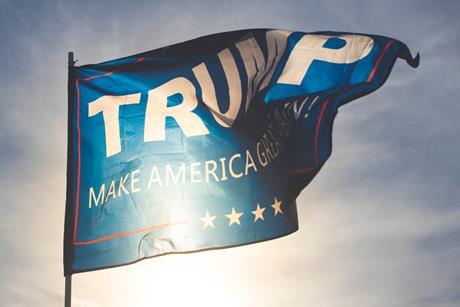 donald trump usa america politics flag