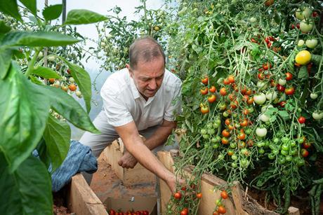 UNP Grocer 48115 Alex Smith Aisholt010
