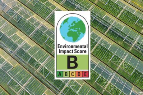 envirnmental impact score example with background