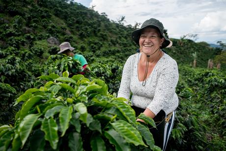 Woman working at Colombian coffee farm - getty