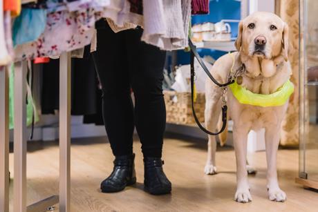 Guide dog owner shopping