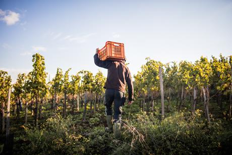 Farm worker GettyImages-713771401