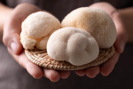 Mushrooms functional GettyImages-2263955323