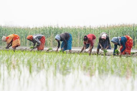 GettyImages-2033102984