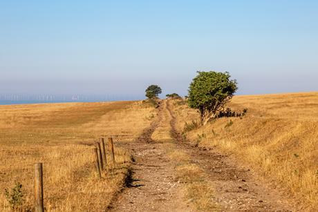 Sussex heatwave farm climate field parched hot weather GettyImages-1000918954