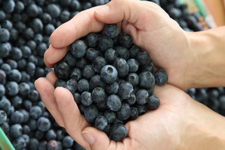 blueberries blueberry