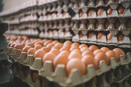 Chicken eggs - getty