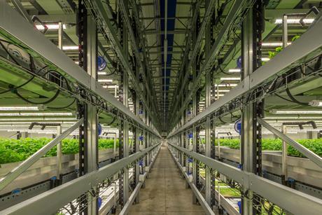 Fischer Farms interior vertical farming