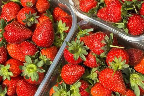 strawberries strawberry punnet