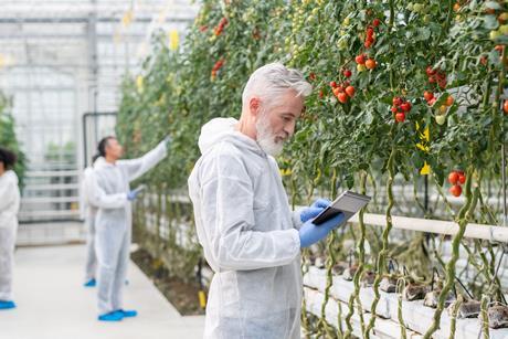 Crop science GettyImages-1303182502