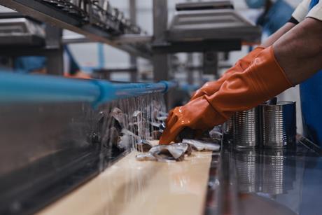 fish factory - getty