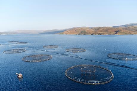 Fish farm salmon sea nets farming at sea Loch Tay Scotland UK - stock photo