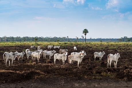 GettyImages-1629814926