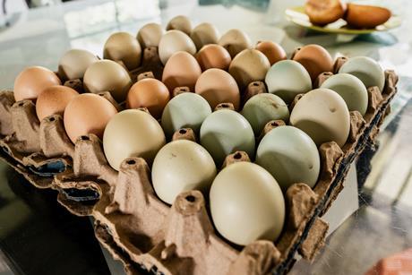 Close-up of a egg carton - stock photo