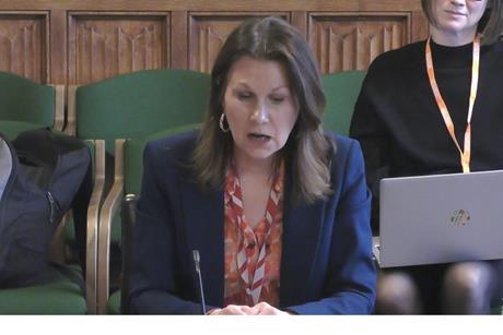 baroness efra inquiry