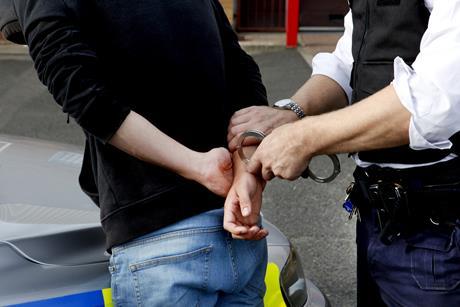 crime theft police arrest
