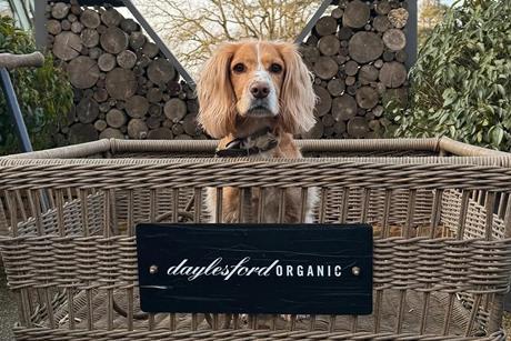 nov_dogs_competition_magefan_hero_370x260