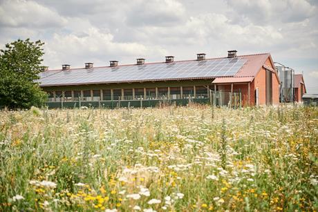 HEIDEMARK poultry barn