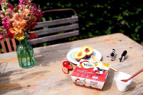 18260_Yogurt and Oats