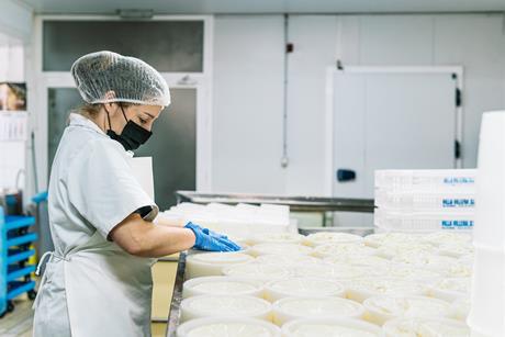 cheese factory - getty