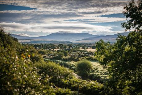 Diageo pledges up to £5million to restore Scotland's peatlands