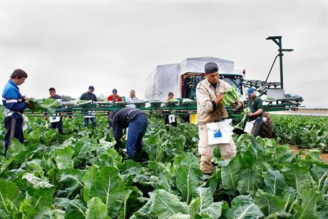 farmers apprentices one use