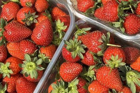 strawberries strawberry punnet