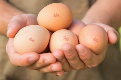 british lion eggs beic