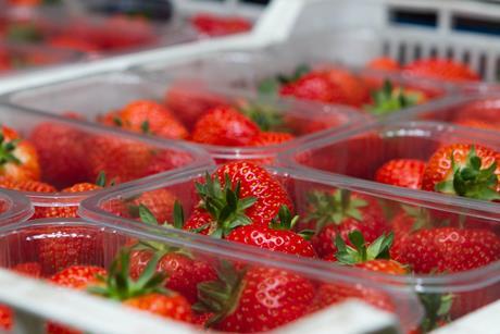 AVA Berries variety from Angus Soft Fruits (2)